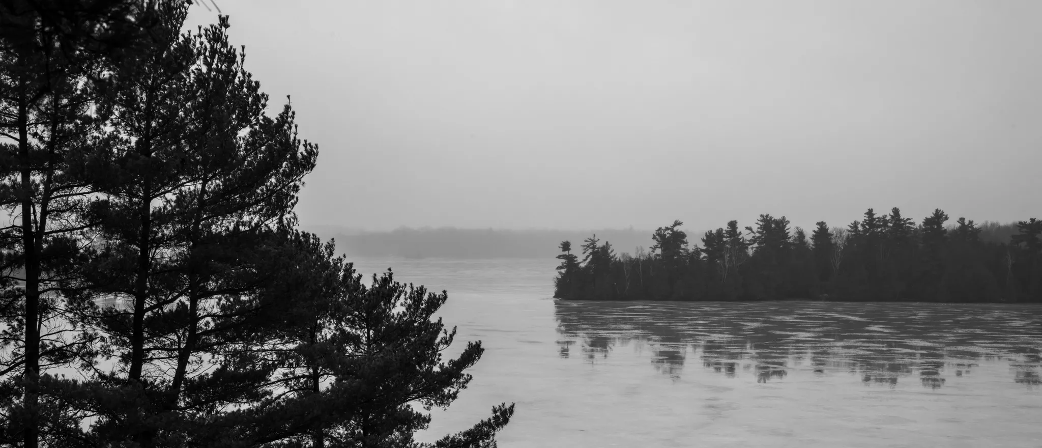 Foggy Lake